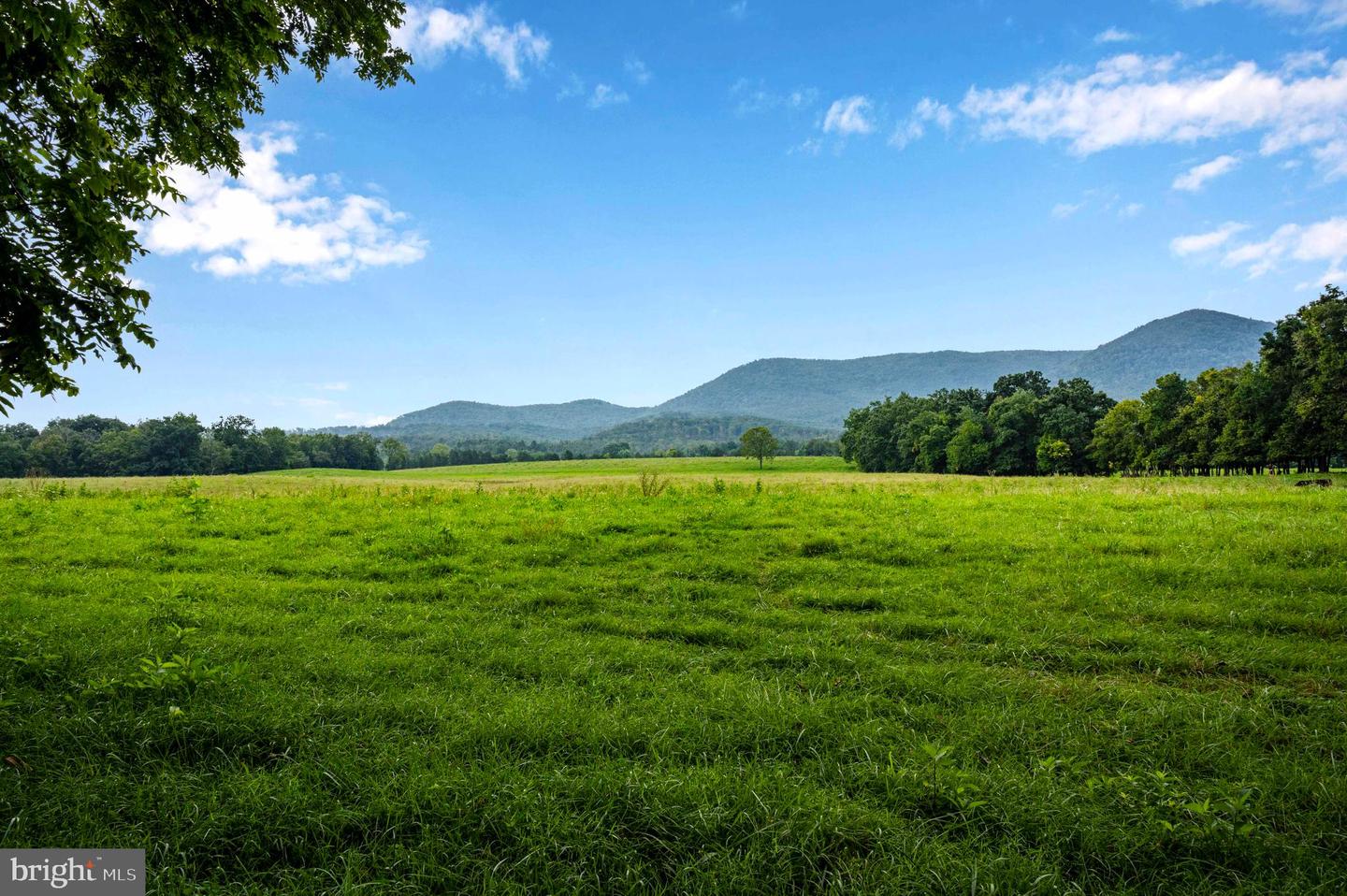 LOT 46A STRASBURG RD, FRONT ROYAL, Virginia 22630, ,Land,For Sale,LOT 46A STRASBURG RD,VAWR2011934 MLS # VAWR2011934 LOT 46A STRASBURG RD, FRONT ROYAL, Virginia 22630, ,Land,For Sale,LOT 46A STRASBURG RD,VAWR2011934 MLS # VAWR2011934