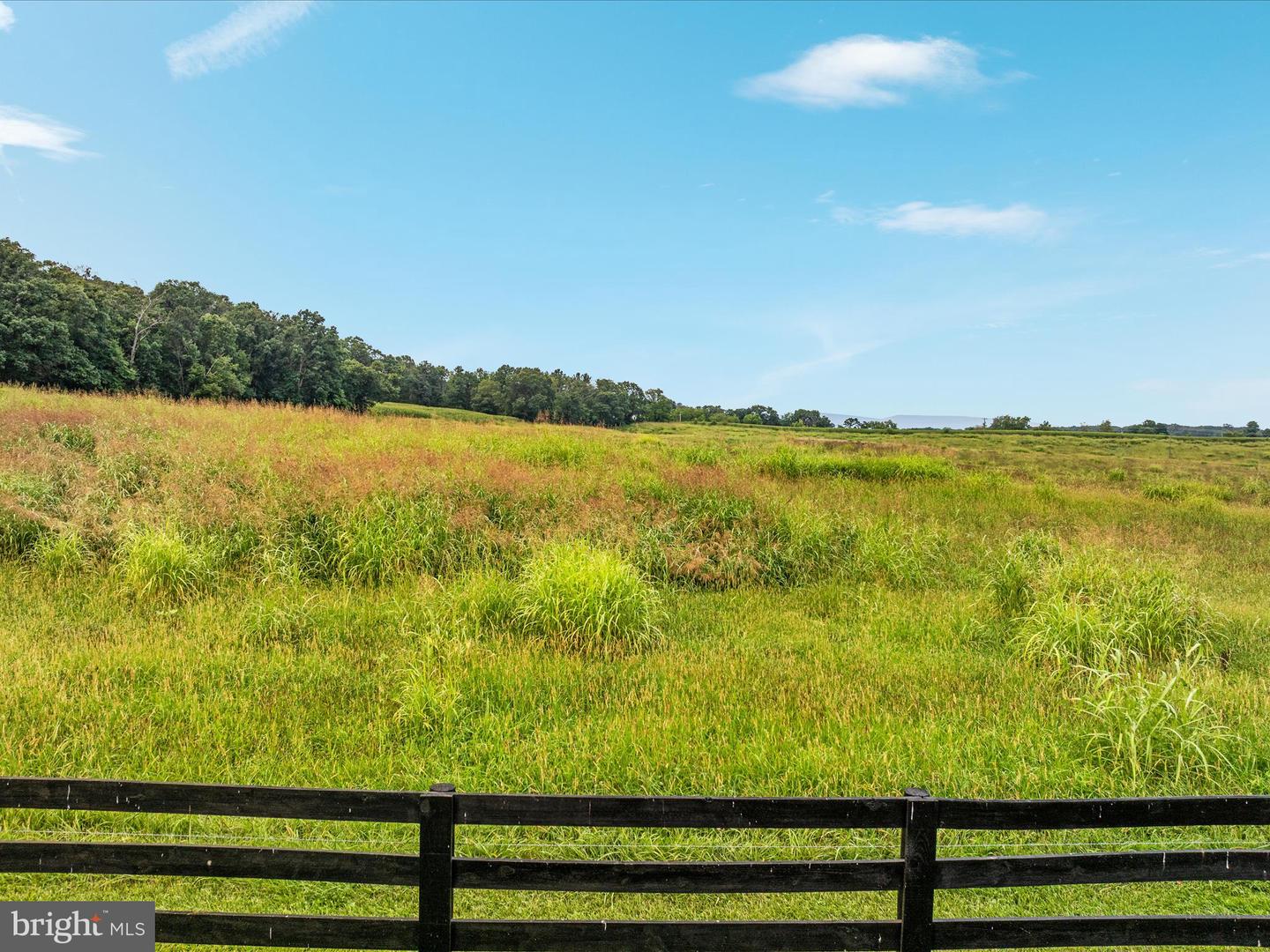 254 CARTE LN, MOUNT JACKSON, Virginia 22842, 2 Bedrooms Bedrooms, ,2 BathroomsBathrooms,Farm,For Sale,254 CARTE LN,VASH2012110 MLS # VASH2012110 254 CARTE LN, MOUNT JACKSON, Virginia 22842, 2 Bedrooms Bedrooms, ,2 BathroomsBathrooms,Farm,For Sale,254 CARTE LN,VASH2012110 MLS # VASH2012110
