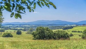 35-14F GALENA RD STAUNTON Virginia 24401
