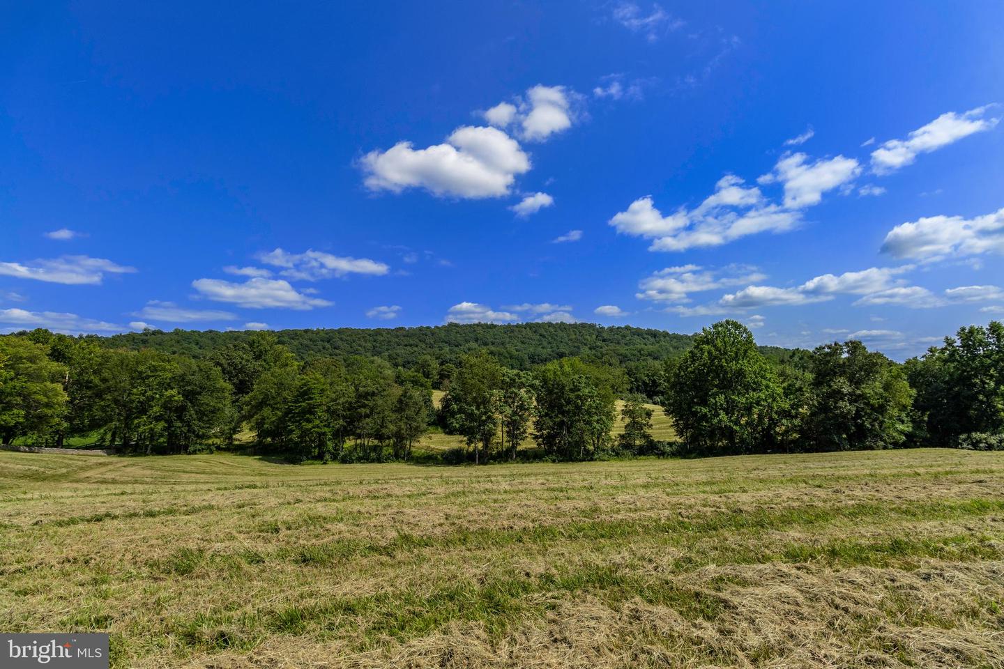 CLARENDON FARM DR, MARSHALL, Virginia 20115, ,Land,For Sale,CLARENDON FARM DR,VAFQ2017880 MLS # VAFQ2017880 CLARENDON FARM DR, MARSHALL, Virginia 20115, ,Land,For Sale,CLARENDON FARM DR,VAFQ2017880 MLS # VAFQ2017880