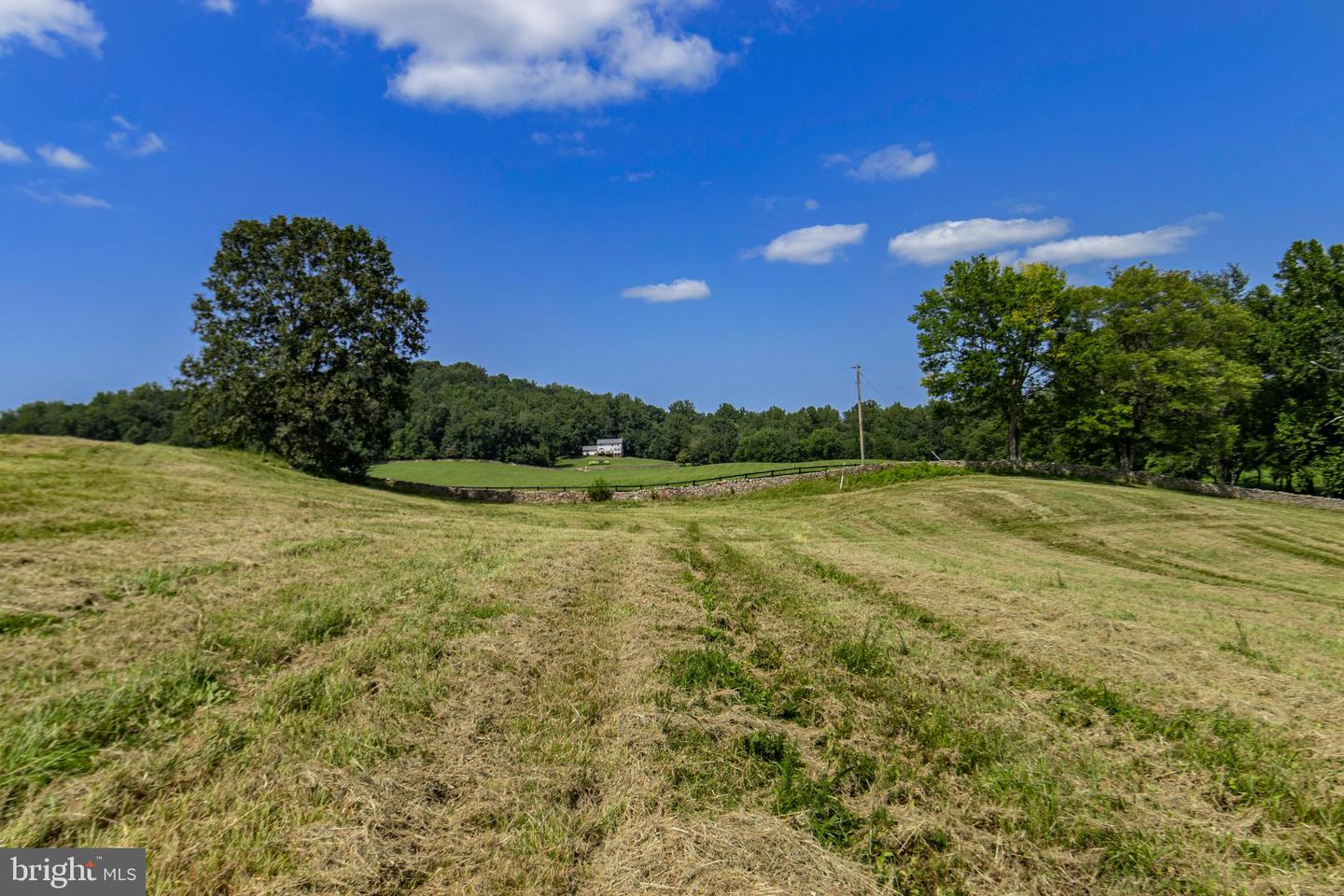 CLARENDON FARM DR, MARSHALL, Virginia 20115, ,Land,For Sale,CLARENDON FARM DR,VAFQ2017880 MLS # VAFQ2017880 CLARENDON FARM DR, MARSHALL, Virginia 20115, ,Land,For Sale,CLARENDON FARM DR,VAFQ2017880 MLS # VAFQ2017880