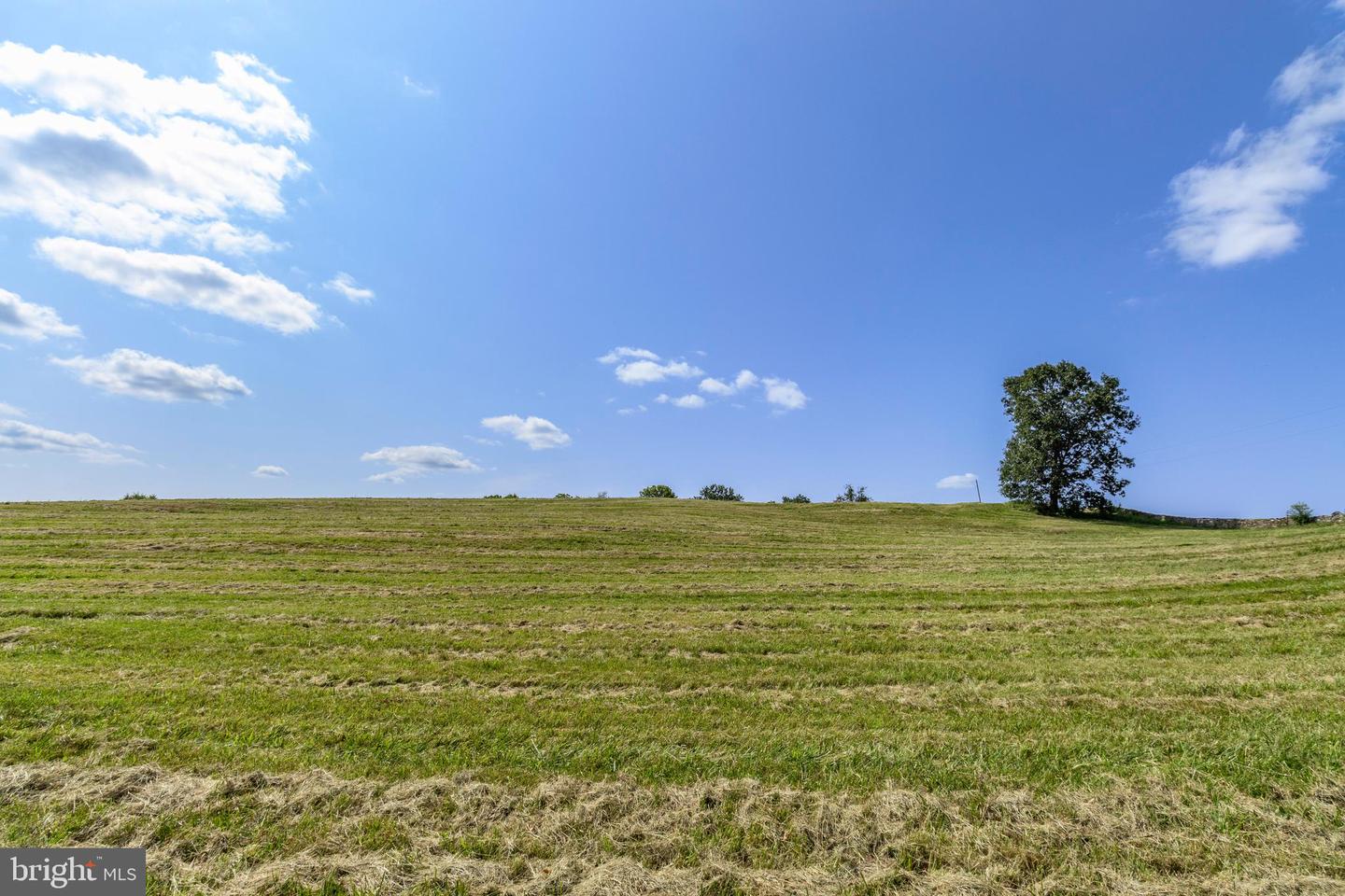 CLARENDON FARM DR, MARSHALL, Virginia 20115, ,Land,For Sale,CLARENDON FARM DR,VAFQ2017880 MLS # VAFQ2017880 CLARENDON FARM DR, MARSHALL, Virginia 20115, ,Land,For Sale,CLARENDON FARM DR,VAFQ2017880 MLS # VAFQ2017880