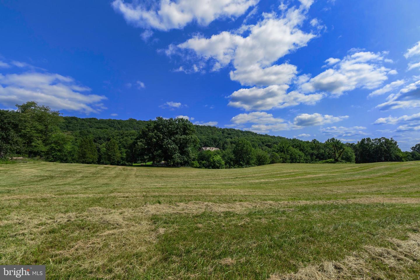 CLARENDON FARM DR, MARSHALL, Virginia 20115, ,Land,For Sale,CLARENDON FARM DR,VAFQ2017880 MLS # VAFQ2017880 CLARENDON FARM DR, MARSHALL, Virginia 20115, ,Land,For Sale,CLARENDON FARM DR,VAFQ2017880 MLS # VAFQ2017880