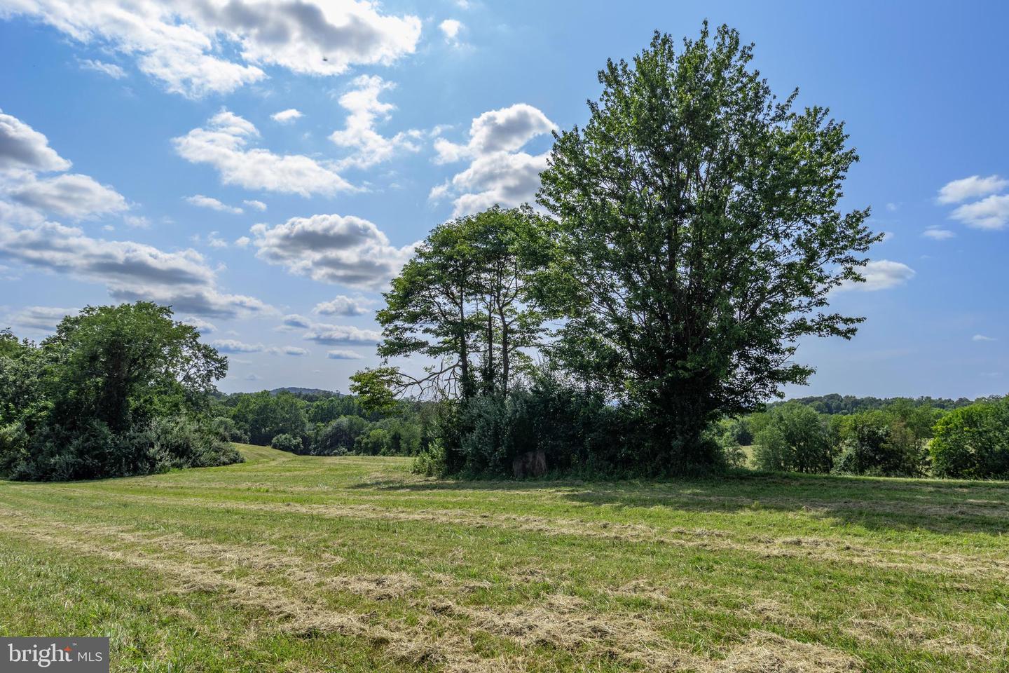 CLARENDON FARM DR, MARSHALL, Virginia 20115, ,Land,For Sale,CLARENDON FARM DR,VAFQ2017880 MLS # VAFQ2017880 CLARENDON FARM DR, MARSHALL, Virginia 20115, ,Land,For Sale,CLARENDON FARM DR,VAFQ2017880 MLS # VAFQ2017880