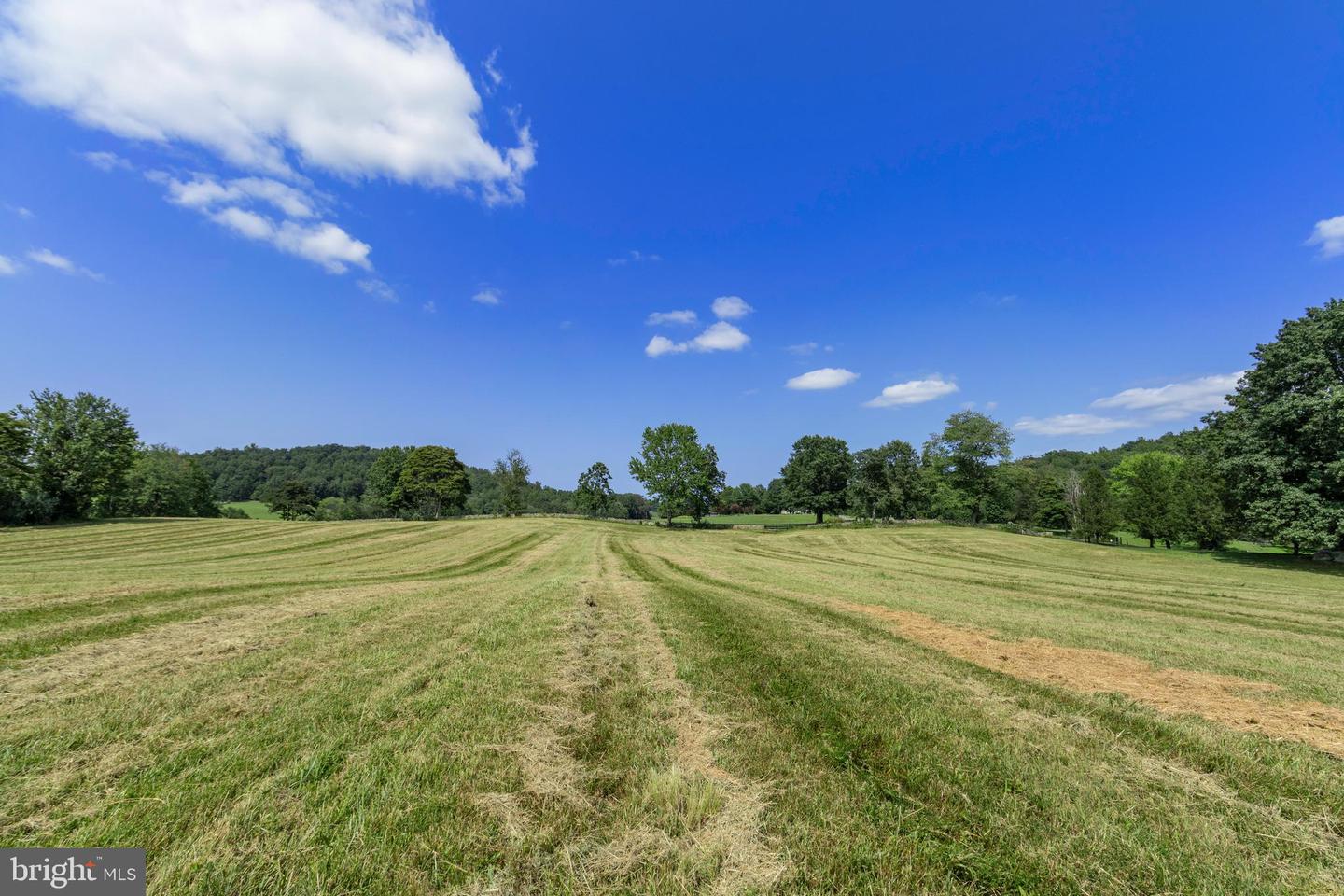 CLARENDON FARM DR, MARSHALL, Virginia 20115, ,Land,For Sale,CLARENDON FARM DR,VAFQ2017880 MLS # VAFQ2017880 CLARENDON FARM DR, MARSHALL, Virginia 20115, ,Land,For Sale,CLARENDON FARM DR,VAFQ2017880 MLS # VAFQ2017880