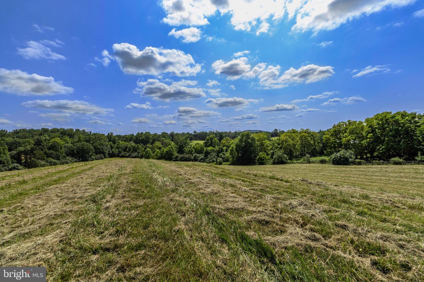 CLARENDON FARM DR, MARSHALL, Virginia 20115, ,Land,For Sale,CLARENDON FARM DR,VAFQ2017880 MLS # VAFQ2017880 CLARENDON FARM DR, MARSHALL, Virginia 20115, ,Land,For Sale,CLARENDON FARM DR,VAFQ2017880 MLS # VAFQ2017880