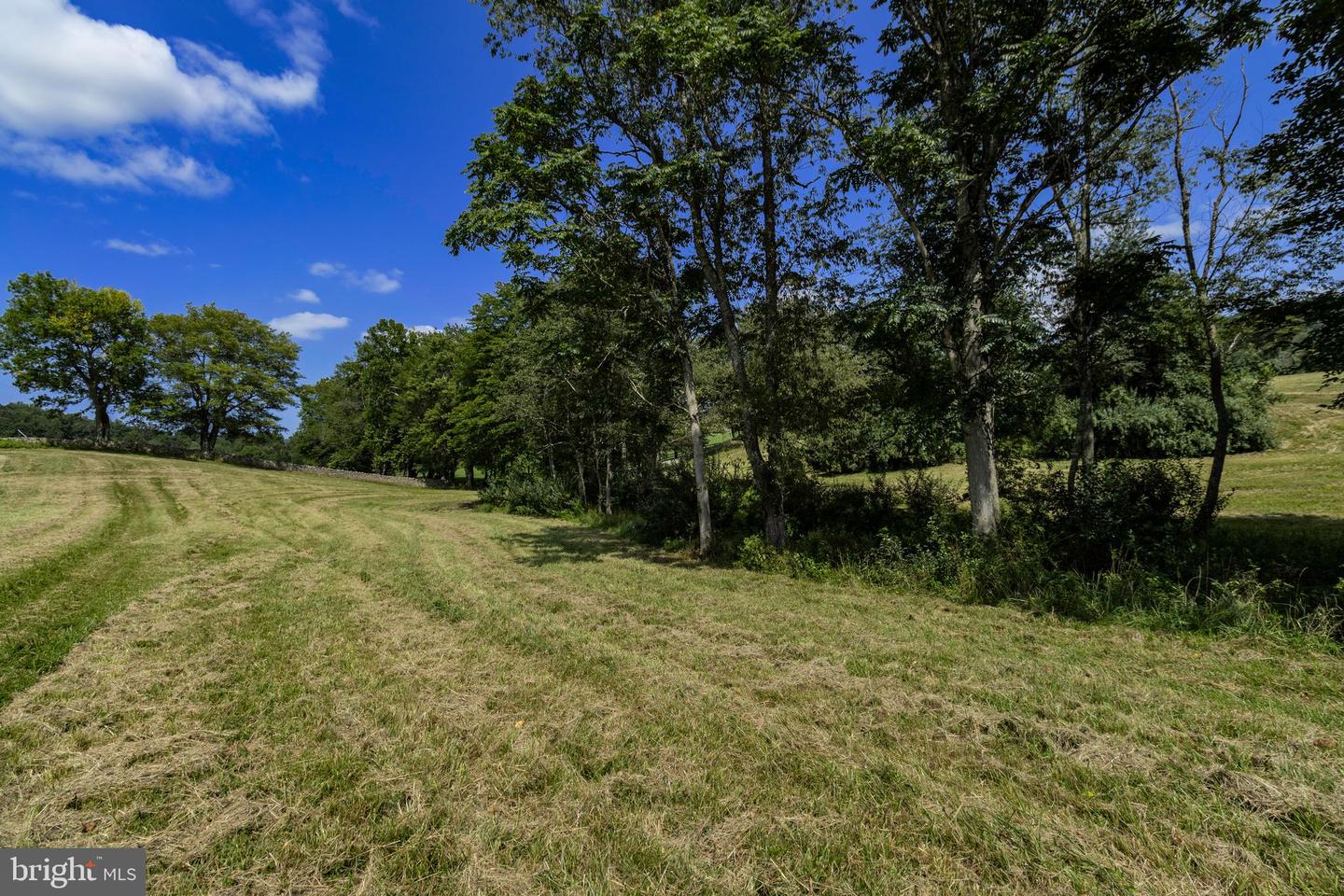 CLARENDON FARM DR, MARSHALL, Virginia 20115, ,Land,For Sale,CLARENDON FARM DR,VAFQ2017880 MLS # VAFQ2017880 CLARENDON FARM DR, MARSHALL, Virginia 20115, ,Land,For Sale,CLARENDON FARM DR,VAFQ2017880 MLS # VAFQ2017880