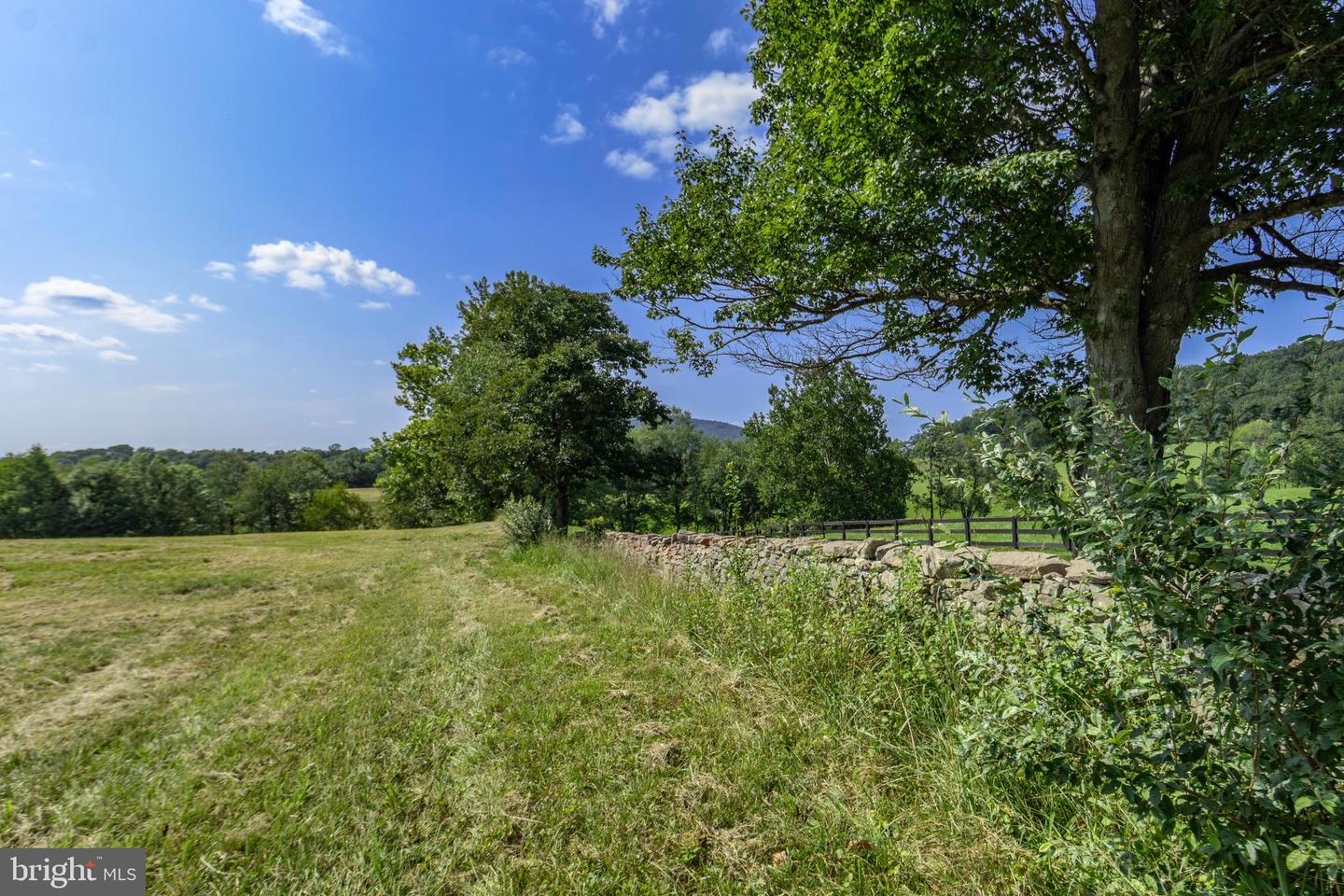 CLARENDON FARM DR, MARSHALL, Virginia 20115, ,Land,For Sale,CLARENDON FARM DR,VAFQ2017880 MLS # VAFQ2017880 CLARENDON FARM DR, MARSHALL, Virginia 20115, ,Land,For Sale,CLARENDON FARM DR,VAFQ2017880 MLS # VAFQ2017880