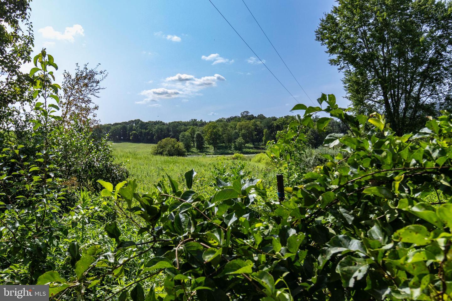 CLARENDON FARM DR, MARSHALL, Virginia 20115, ,Land,For Sale,CLARENDON FARM DR,VAFQ2017880 MLS # VAFQ2017880 CLARENDON FARM DR, MARSHALL, Virginia 20115, ,Land,For Sale,CLARENDON FARM DR,VAFQ2017880 MLS # VAFQ2017880