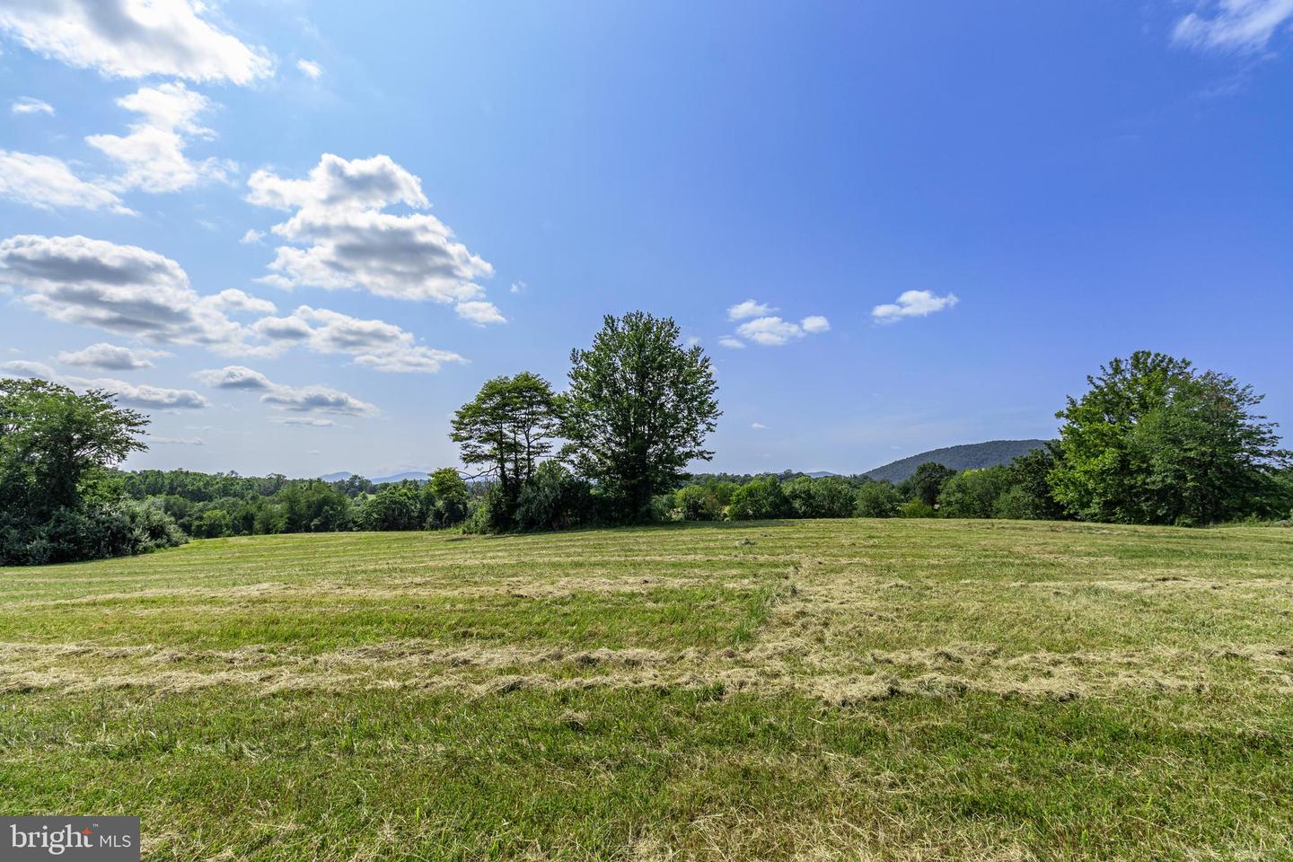 CLARENDON FARM DR, MARSHALL, Virginia 20115, ,Land,For Sale,CLARENDON FARM DR,VAFQ2017880 MLS # VAFQ2017880 CLARENDON FARM DR, MARSHALL, Virginia 20115, ,Land,For Sale,CLARENDON FARM DR,VAFQ2017880 MLS # VAFQ2017880