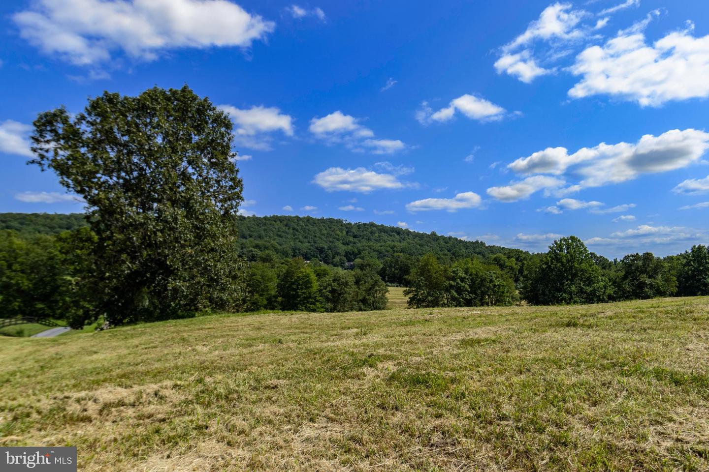 CLARENDON FARM DR, MARSHALL, Virginia 20115, ,Land,For Sale,CLARENDON FARM DR,VAFQ2017880 MLS # VAFQ2017880 CLARENDON FARM DR, MARSHALL, Virginia 20115, ,Land,For Sale,CLARENDON FARM DR,VAFQ2017880 MLS # VAFQ2017880