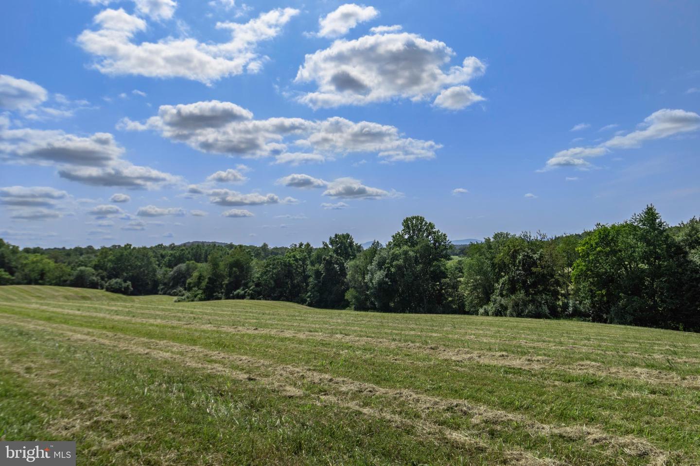 CLARENDON FARM DR, MARSHALL, Virginia 20115, ,Land,For Sale,CLARENDON FARM DR,VAFQ2017880 MLS # VAFQ2017880 CLARENDON FARM DR, MARSHALL, Virginia 20115, ,Land,For Sale,CLARENDON FARM DR,VAFQ2017880 MLS # VAFQ2017880