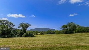 CLARENDON FARM DR MARSHALL Virginia 20115