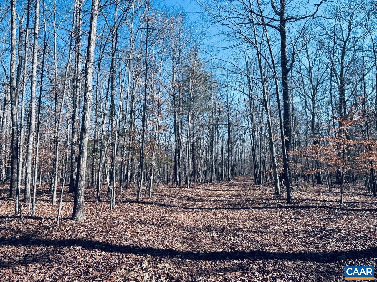 TBD RUNNING DEER DR #PARCEL A AS SHOWN ON, KESWICK, Virginia 22947, ,Land,For Sale,TBD RUNNING DEER DR #PARCEL A AS SHOWN ON,667749 MLS # 667749 TBD RUNNING DEER DR #PARCEL A AS SHOWN ON, KESWICK, Virginia 22947, ,Land,For Sale,TBD RUNNING DEER DR #PARCEL A AS SHOWN ON,667749 MLS # 667749