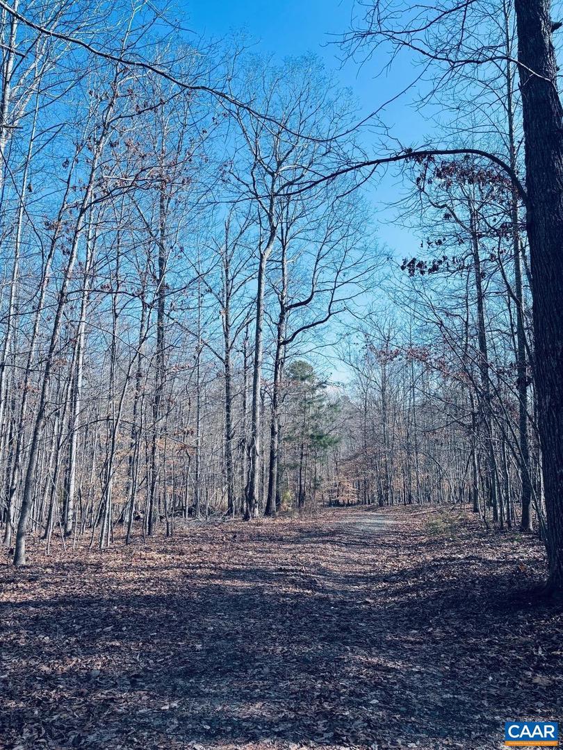 TBD RUNNING DEER DR #PARCEL A AS SHOWN ON, KESWICK, Virginia 22947, ,Land,For Sale,TBD RUNNING DEER DR #PARCEL A AS SHOWN ON,667749 MLS # 667749 TBD RUNNING DEER DR #PARCEL A AS SHOWN ON, KESWICK, Virginia 22947, ,Land,For Sale,TBD RUNNING DEER DR #PARCEL A AS SHOWN ON,667749 MLS # 667749