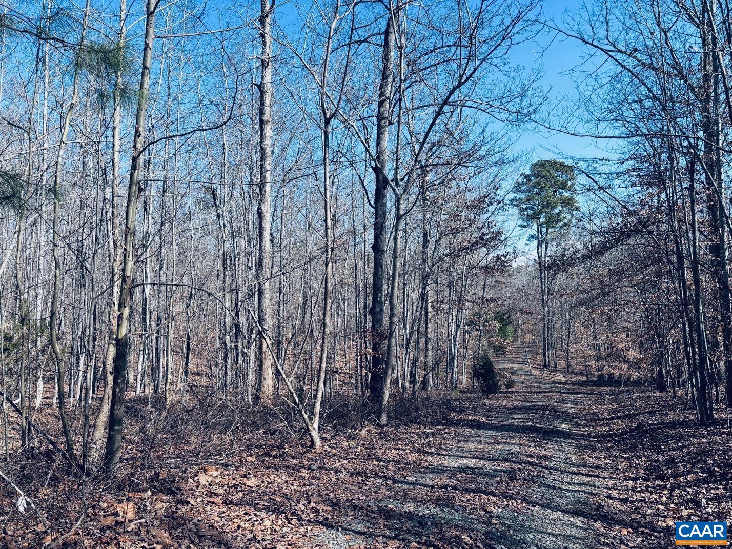 TBD RUNNING DEER DR #PARCEL A AS SHOWN ON, KESWICK, Virginia 22947, ,Land,For Sale,TBD RUNNING DEER DR #PARCEL A AS SHOWN ON,667749 MLS # 667749 TBD RUNNING DEER DR #PARCEL A AS SHOWN ON, KESWICK, Virginia 22947, ,Land,For Sale,TBD RUNNING DEER DR #PARCEL A AS SHOWN ON,667749 MLS # 667749