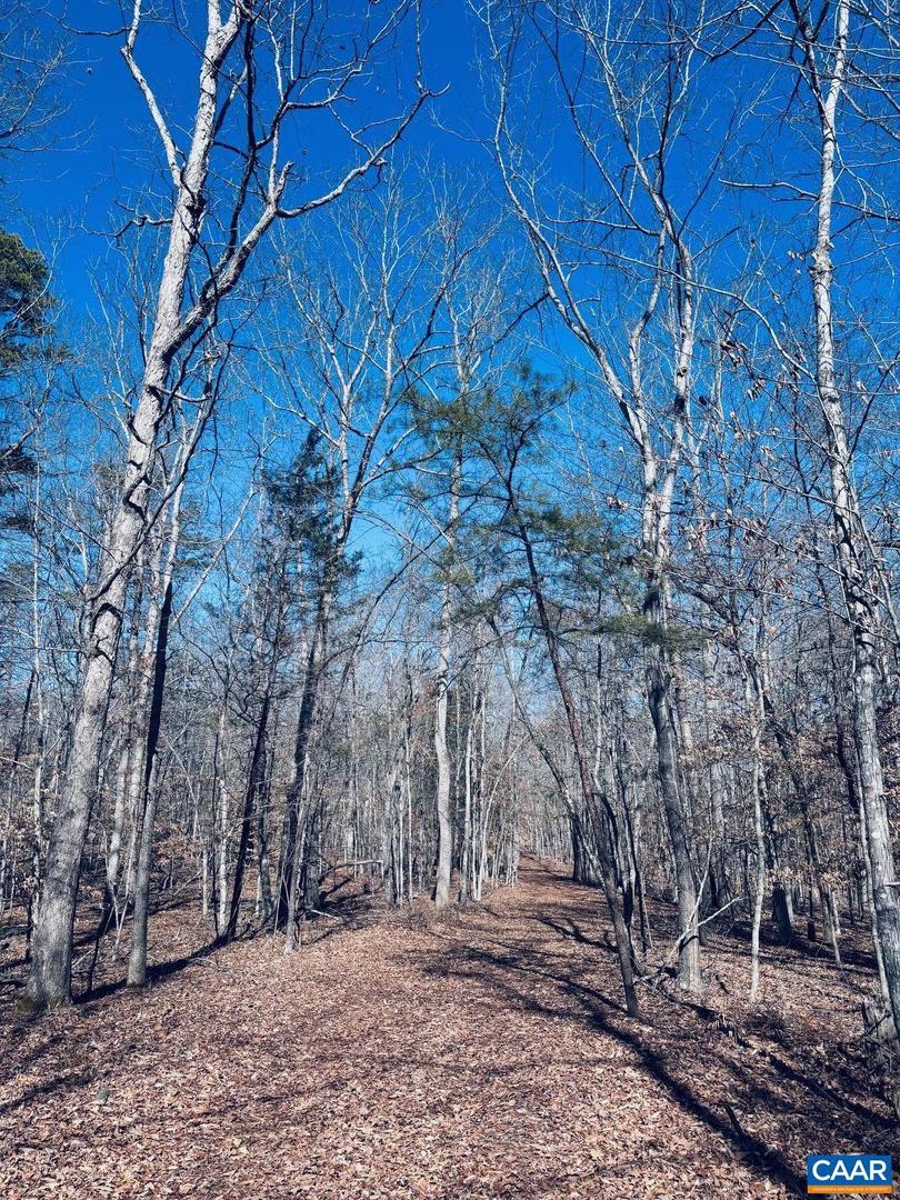 TBD RUNNING DEER DR #PARCEL A AS SHOWN ON, KESWICK, Virginia 22947, ,Land,For Sale,TBD RUNNING DEER DR #PARCEL A AS SHOWN ON,667749 MLS # 667749 TBD RUNNING DEER DR #PARCEL A AS SHOWN ON, KESWICK, Virginia 22947, ,Land,For Sale,TBD RUNNING DEER DR #PARCEL A AS SHOWN ON,667749 MLS # 667749