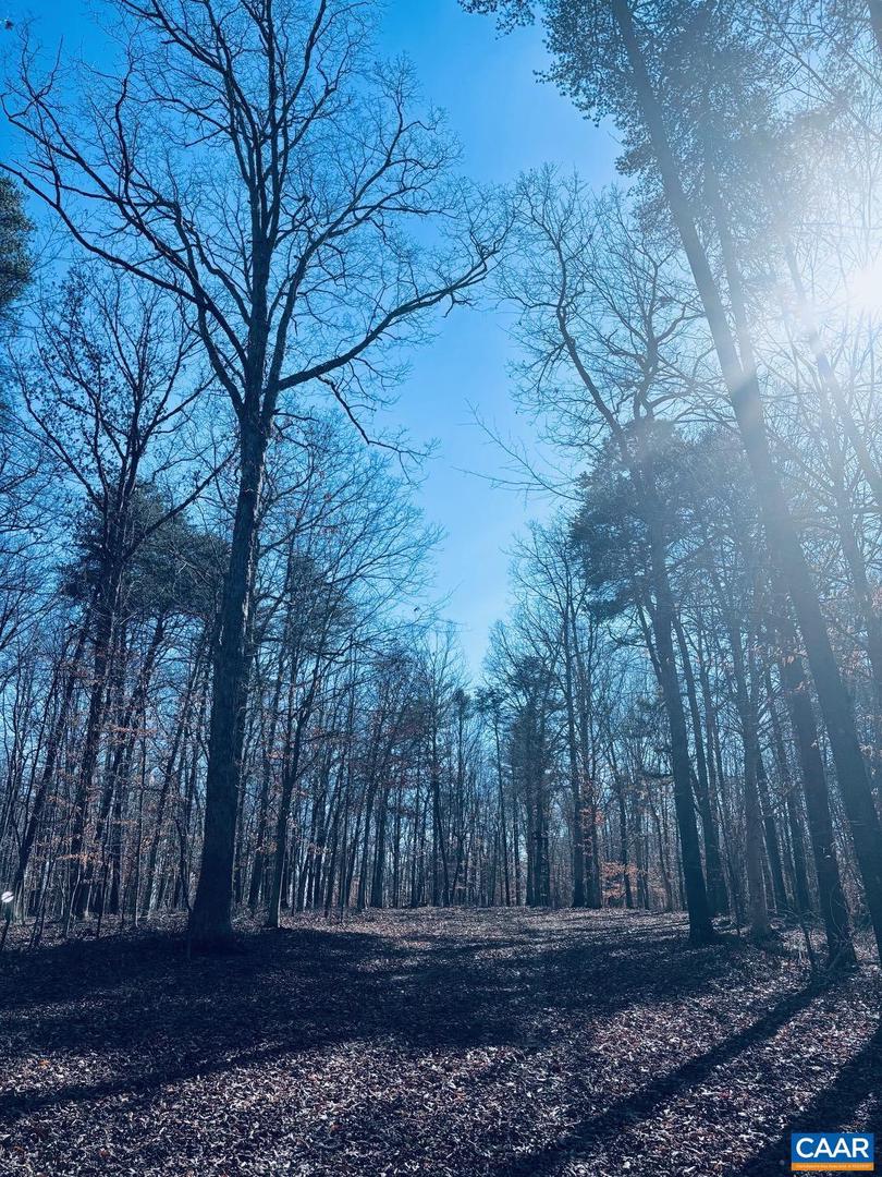 TBD RUNNING DEER DR #PARCEL A AS SHOWN ON, KESWICK, Virginia 22947, ,Land,For Sale,TBD RUNNING DEER DR #PARCEL A AS SHOWN ON,667749 MLS # 667749 TBD RUNNING DEER DR #PARCEL A AS SHOWN ON, KESWICK, Virginia 22947, ,Land,For Sale,TBD RUNNING DEER DR #PARCEL A AS SHOWN ON,667749 MLS # 667749