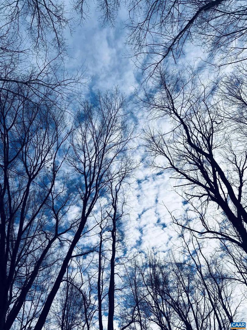 TBD RUNNING DEER DR #PARCEL A AS SHOWN ON, KESWICK, Virginia 22947, ,Land,For Sale,TBD RUNNING DEER DR #PARCEL A AS SHOWN ON,667749 MLS # 667749 TBD RUNNING DEER DR #PARCEL A AS SHOWN ON, KESWICK, Virginia 22947, ,Land,For Sale,TBD RUNNING DEER DR #PARCEL A AS SHOWN ON,667749 MLS # 667749