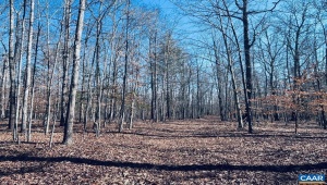 TBD RUNNING DEER DR #PARCEL A AS SHOWN ON KESWICK Virginia 22947
