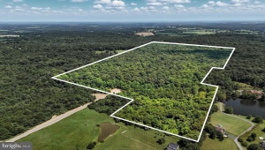 FOXTROT LN RIXEYVILLE Virginia 22737