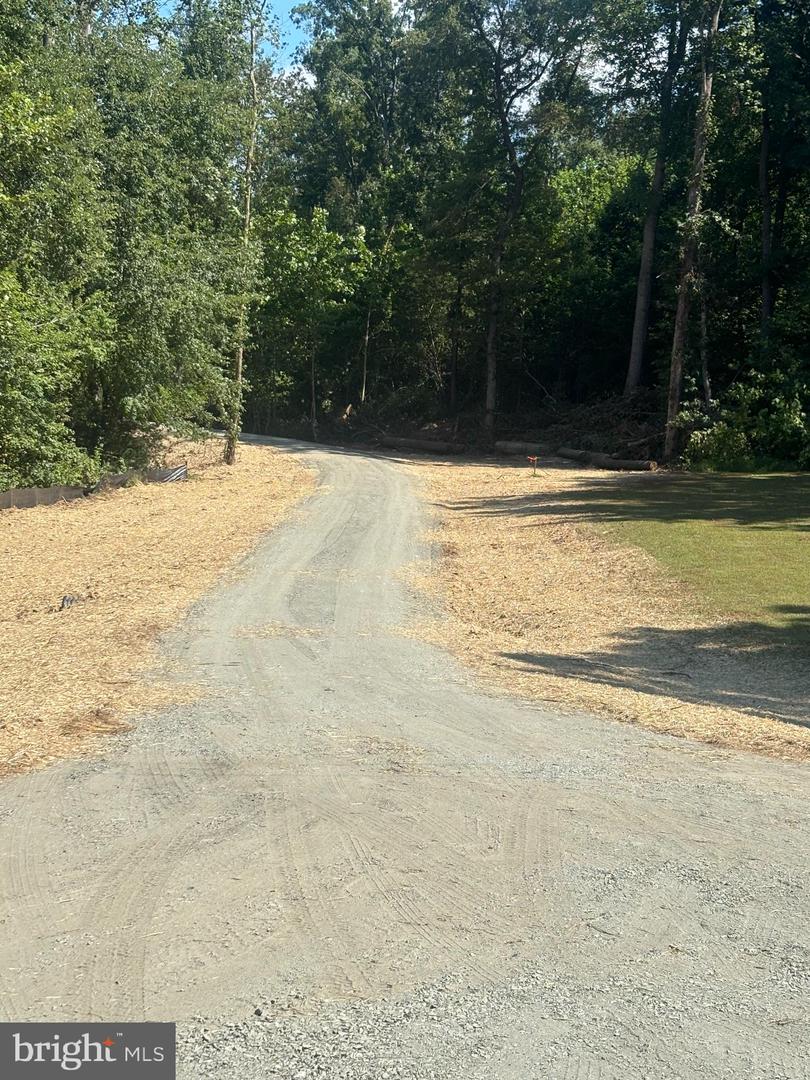 00-TBD W HOOVER, MADISON, Virginia 22727, ,Farm,For Sale,00-TBD W HOOVER,VAMA2002364 MLS # VAMA2002364 00-TBD W HOOVER, MADISON, Virginia 22727, ,Farm,For Sale,00-TBD W HOOVER,VAMA2002364 MLS # VAMA2002364