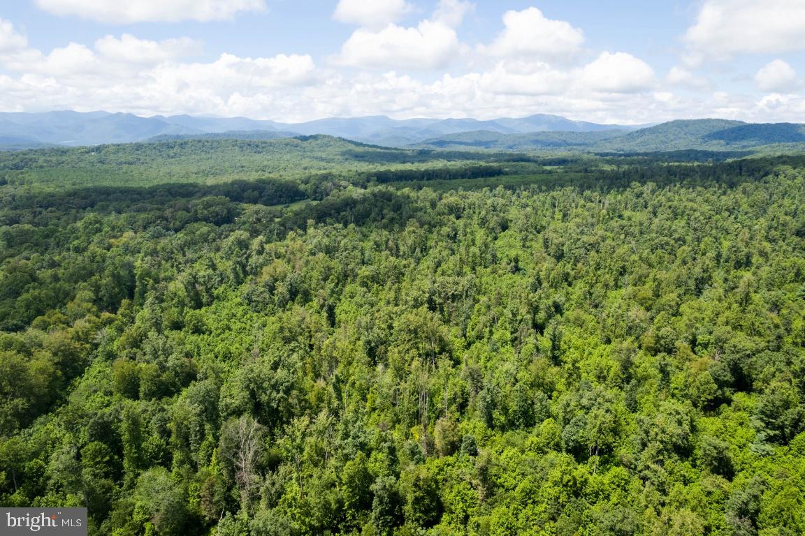 00-TBD W HOOVER, MADISON, Virginia 22727, ,Farm,For Sale,00-TBD W HOOVER,VAMA2002364 MLS # VAMA2002364 00-TBD W HOOVER, MADISON, Virginia 22727, ,Farm,For Sale,00-TBD W HOOVER,VAMA2002364 MLS # VAMA2002364