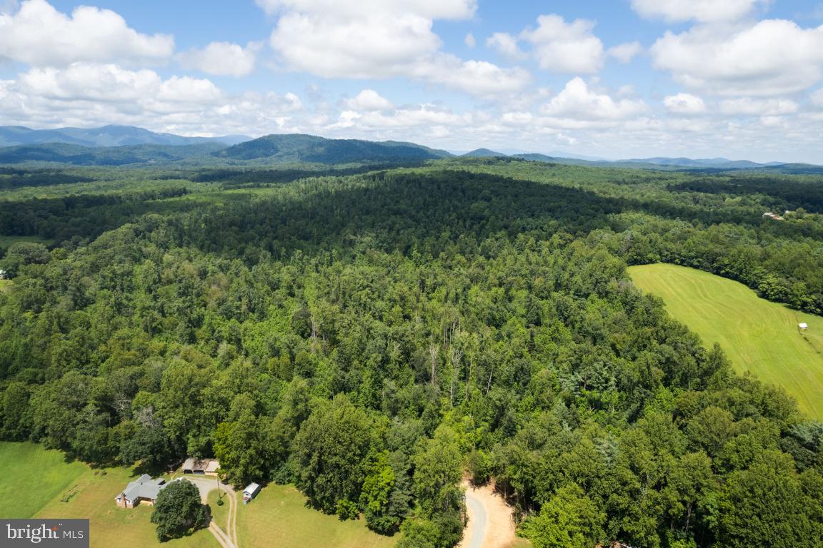 00-TBD W HOOVER, MADISON, Virginia 22727, ,Farm,For Sale,00-TBD W HOOVER,VAMA2002364 MLS # VAMA2002364 00-TBD W HOOVER, MADISON, Virginia 22727, ,Farm,For Sale,00-TBD W HOOVER,VAMA2002364 MLS # VAMA2002364