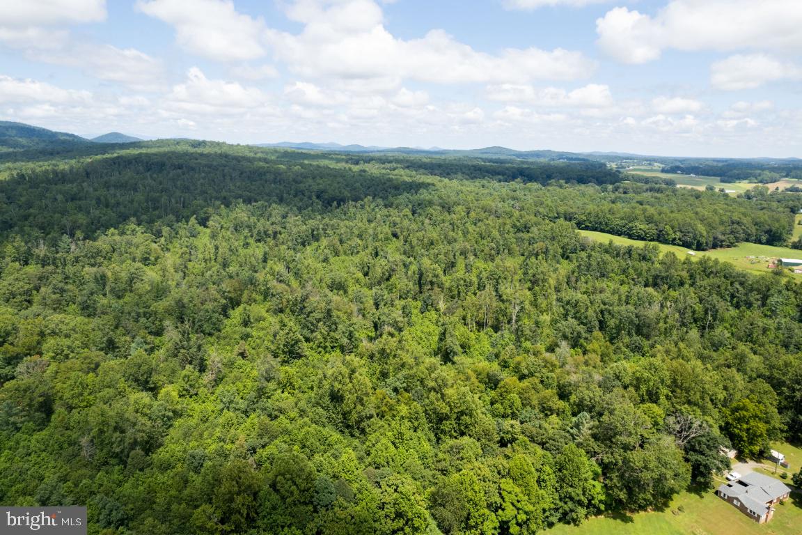 00-TBD W HOOVER, MADISON, Virginia 22727, ,Farm,For Sale,00-TBD W HOOVER,VAMA2002364 MLS # VAMA2002364 00-TBD W HOOVER, MADISON, Virginia 22727, ,Farm,For Sale,00-TBD W HOOVER,VAMA2002364 MLS # VAMA2002364