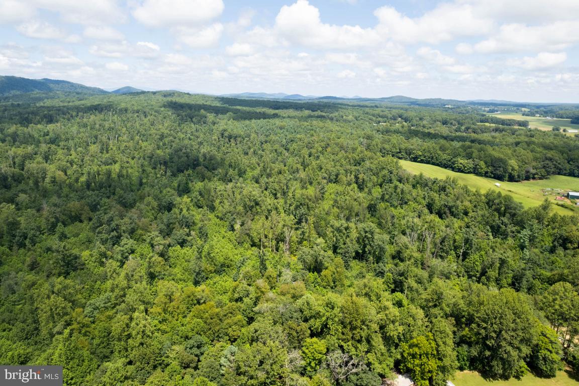 00-TBD W HOOVER, MADISON, Virginia 22727, ,Farm,For Sale,00-TBD W HOOVER,VAMA2002364 MLS # VAMA2002364 00-TBD W HOOVER, MADISON, Virginia 22727, ,Farm,For Sale,00-TBD W HOOVER,VAMA2002364 MLS # VAMA2002364