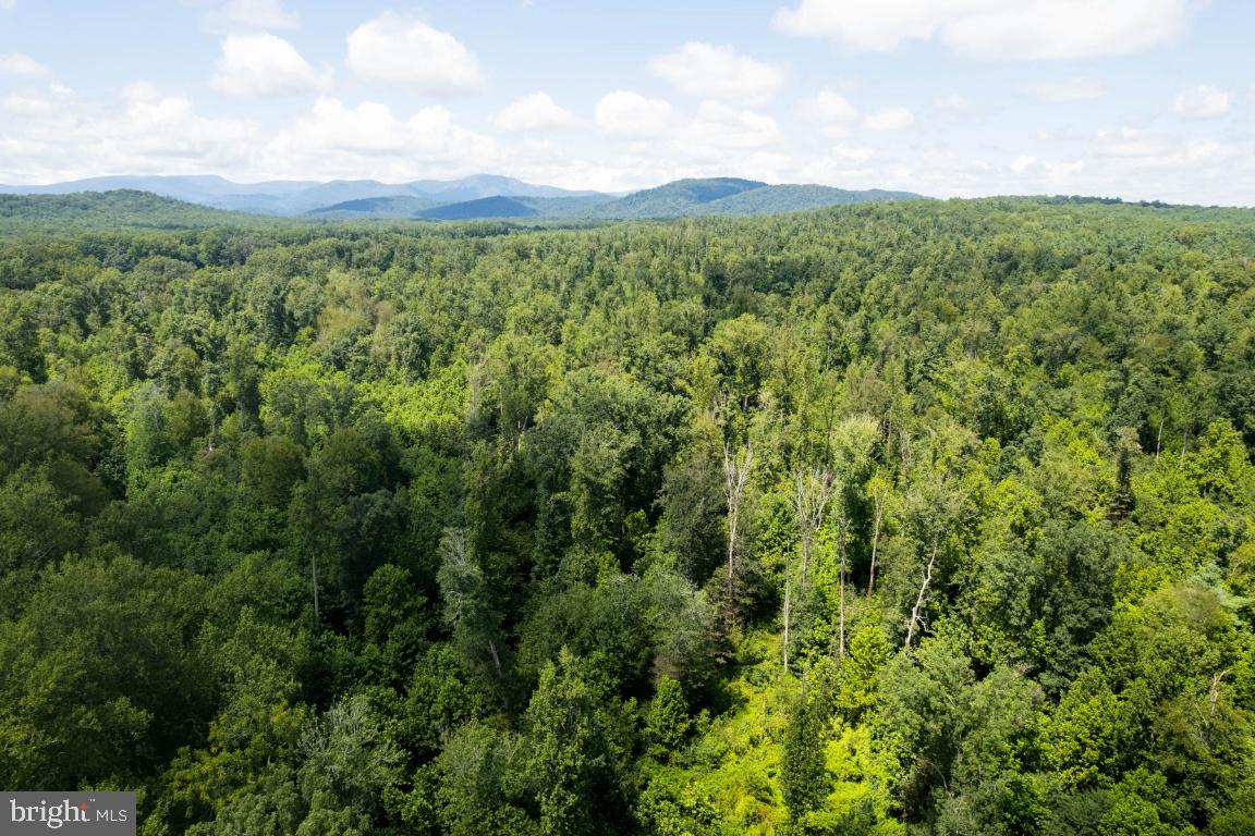 00-TBD W HOOVER, MADISON, Virginia 22727, ,Farm,For Sale,00-TBD W HOOVER,VAMA2002364 MLS # VAMA2002364 00-TBD W HOOVER, MADISON, Virginia 22727, ,Farm,For Sale,00-TBD W HOOVER,VAMA2002364 MLS # VAMA2002364