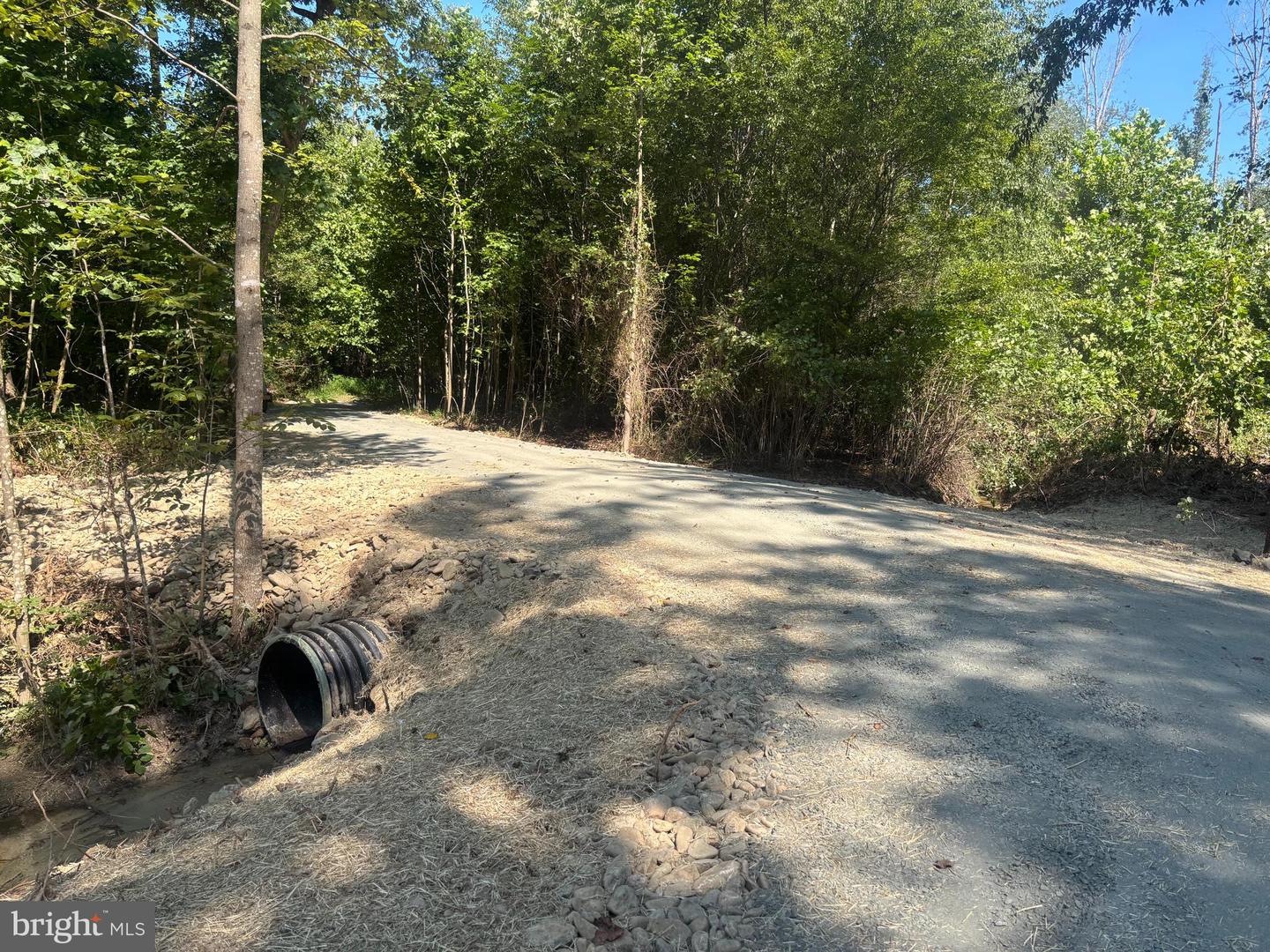 00-TBD W HOOVER, MADISON, Virginia 22727, ,Farm,For Sale,00-TBD W HOOVER,VAMA2002364 MLS # VAMA2002364 00-TBD W HOOVER, MADISON, Virginia 22727, ,Farm,For Sale,00-TBD W HOOVER,VAMA2002364 MLS # VAMA2002364