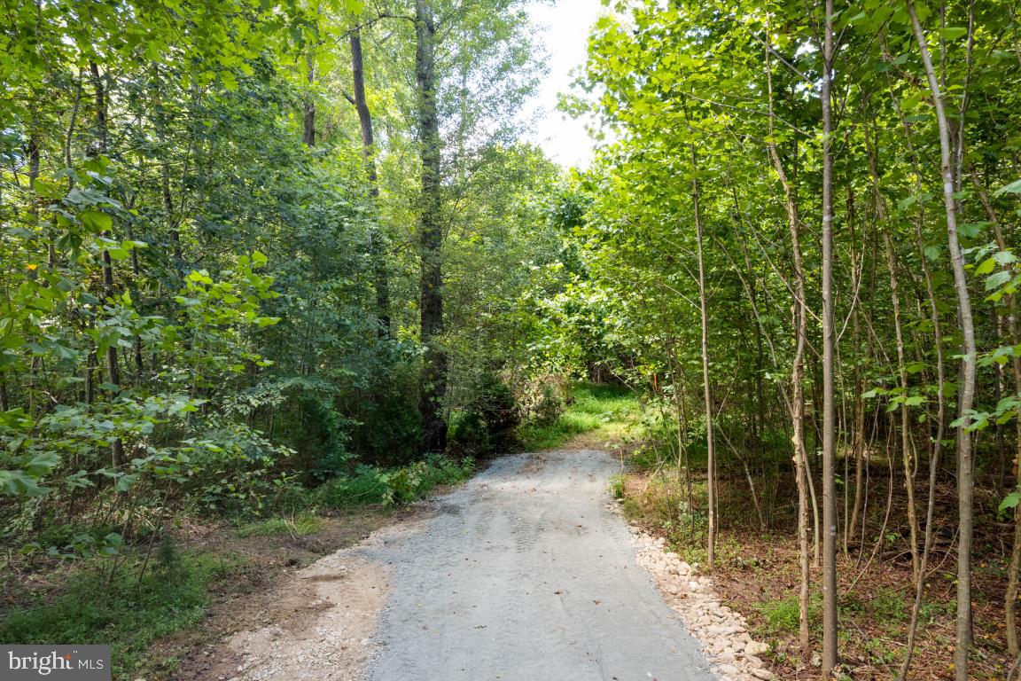 00-TBD W HOOVER, MADISON, Virginia 22727, ,Farm,For Sale,00-TBD W HOOVER,VAMA2002364 MLS # VAMA2002364 00-TBD W HOOVER, MADISON, Virginia 22727, ,Farm,For Sale,00-TBD W HOOVER,VAMA2002364 MLS # VAMA2002364