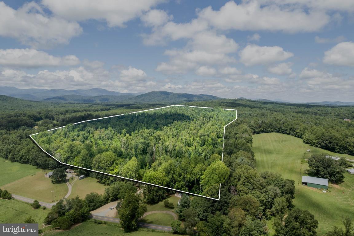 00-TBD W HOOVER, MADISON, Virginia 22727, ,Farm,For Sale,00-TBD W HOOVER,VAMA2002364 MLS # VAMA2002364 00-TBD W HOOVER, MADISON, Virginia 22727, ,Farm,For Sale,00-TBD W HOOVER,VAMA2002364 MLS # VAMA2002364