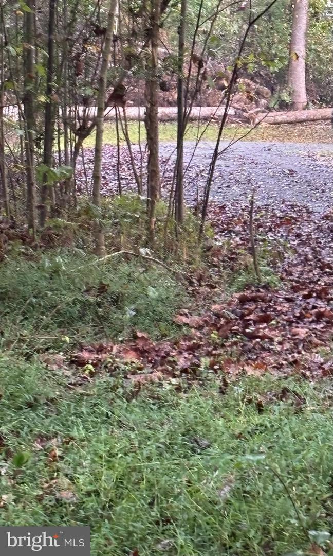 00-TBD W HOOVER, MADISON, Virginia 22727, ,Farm,For Sale,00-TBD W HOOVER,VAMA2002364 MLS # VAMA2002364 00-TBD W HOOVER, MADISON, Virginia 22727, ,Farm,For Sale,00-TBD W HOOVER,VAMA2002364 MLS # VAMA2002364