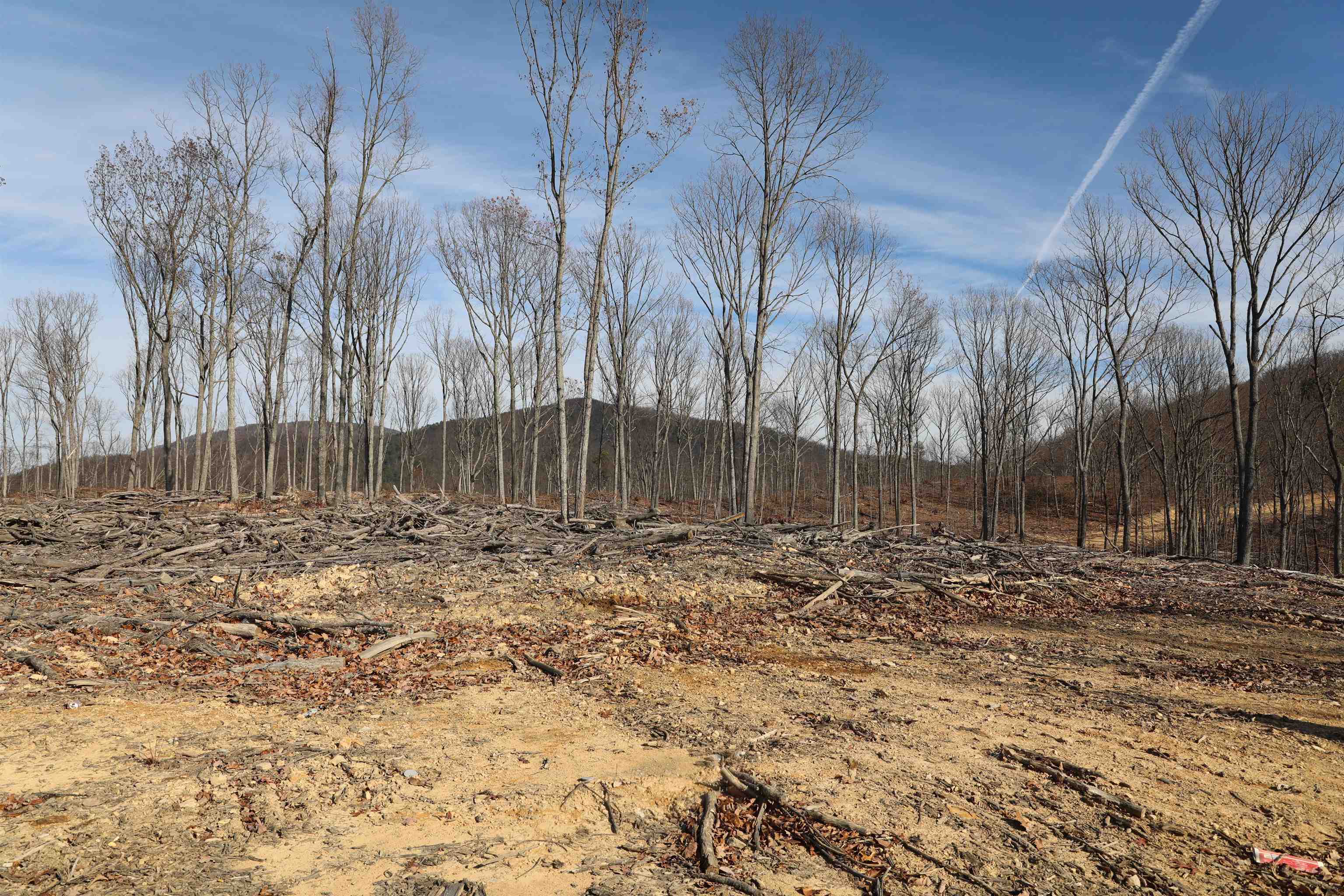 0 CALF MOUNTAIN RD, WAYNESBORO, Virginia 22980, ,Farm,14,0 CALF MOUNTAIN RD,667816 MLS # 667816