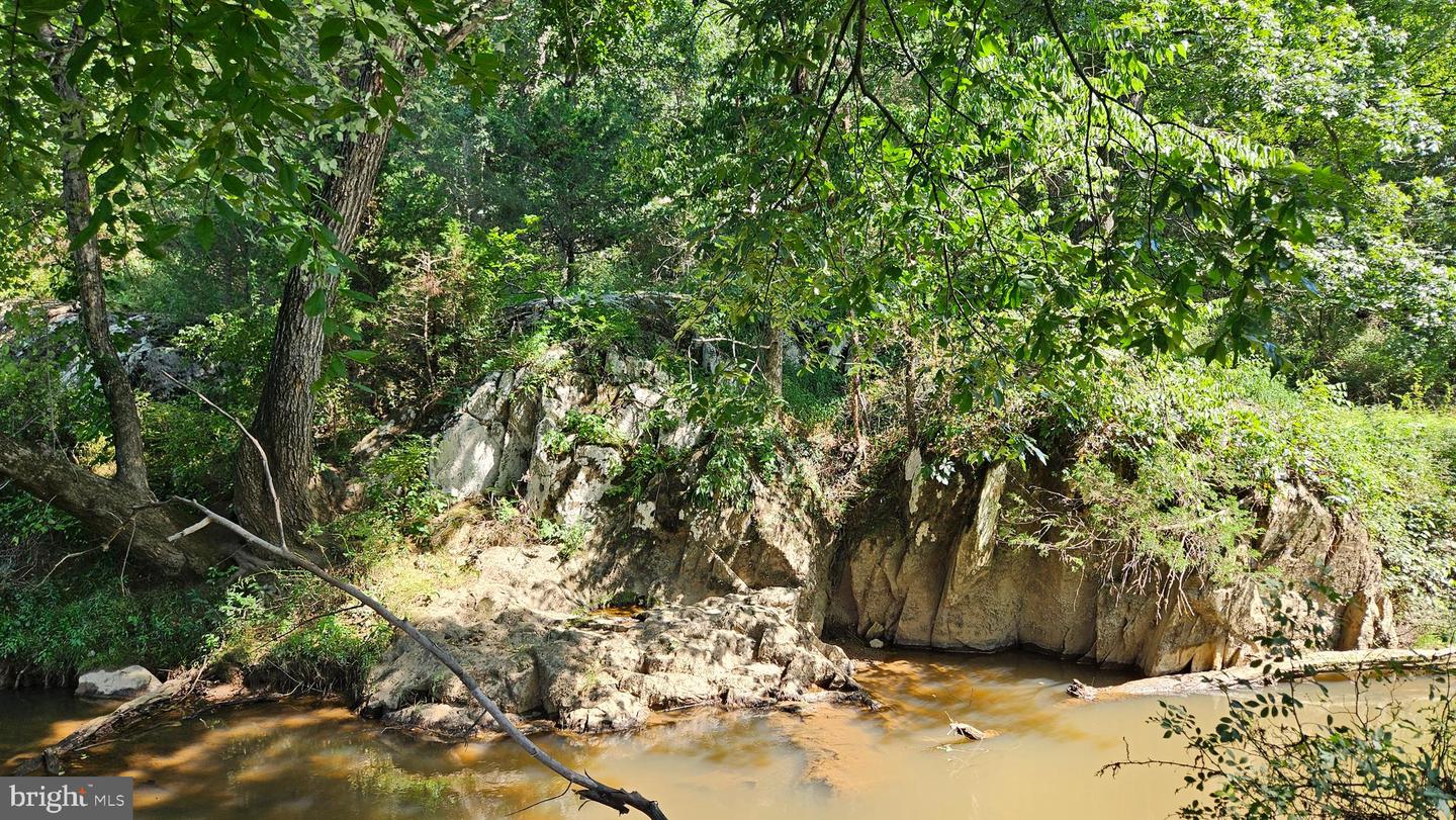 9534 SPRING HILL, RIXEYVILLE, Virginia 22737, 3 Bedrooms Bedrooms, ,2 BathroomsBathrooms,Farm,For Sale,9534 SPRING HILL,VACU2011274 MLS # VACU2011274 9534 SPRING HILL, RIXEYVILLE, Virginia 22737, 3 Bedrooms Bedrooms, ,2 BathroomsBathrooms,Farm,For Sale,9534 SPRING HILL,VACU2011274 MLS # VACU2011274