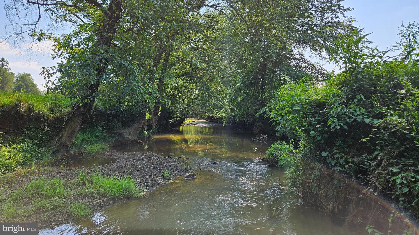 9534 SPRING HILL, RIXEYVILLE, Virginia 22737, 3 Bedrooms Bedrooms, ,2 BathroomsBathrooms,Farm,For Sale,9534 SPRING HILL,VACU2011274 MLS # VACU2011274 9534 SPRING HILL, RIXEYVILLE, Virginia 22737, 3 Bedrooms Bedrooms, ,2 BathroomsBathrooms,Farm,For Sale,9534 SPRING HILL,VACU2011274 MLS # VACU2011274