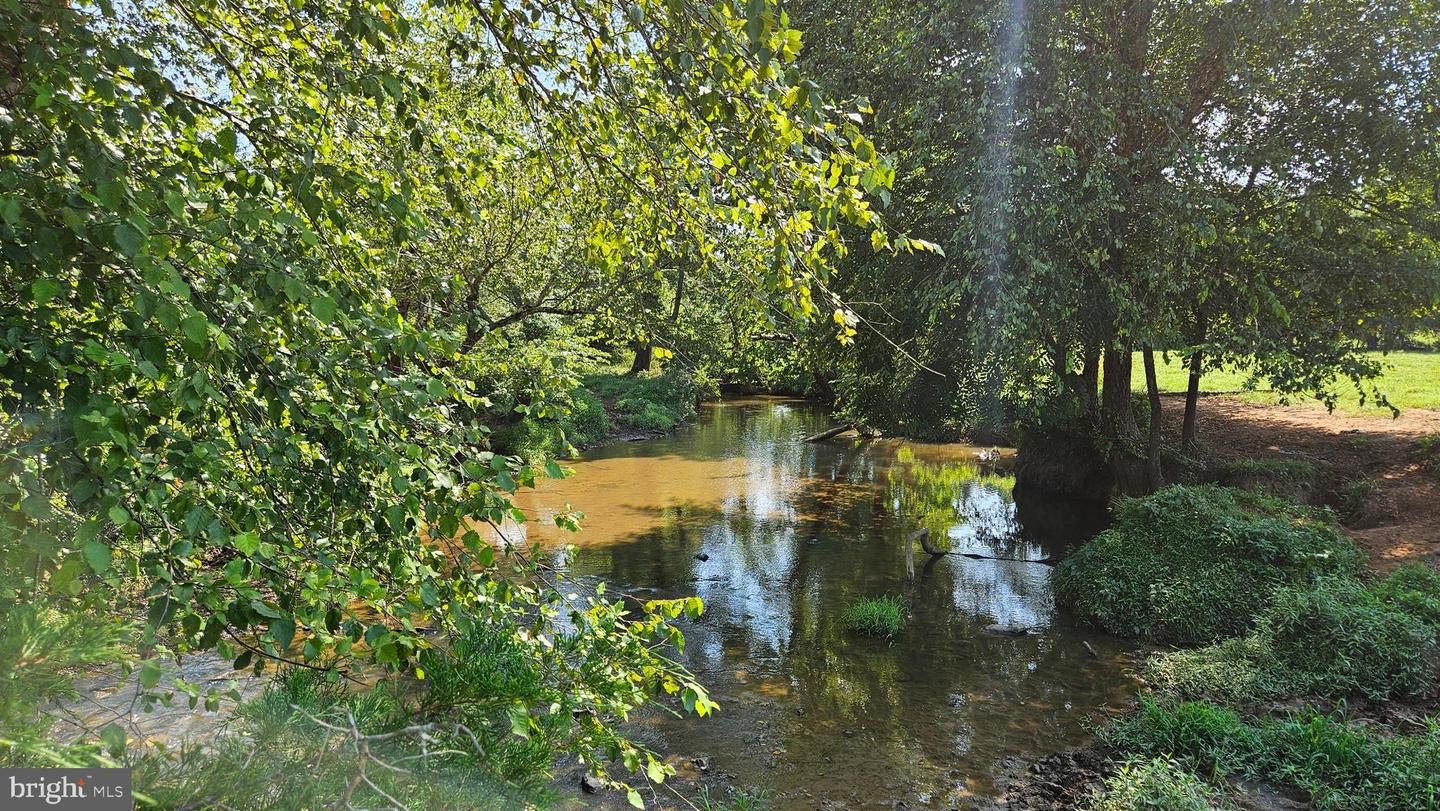 9534 SPRING HILL, RIXEYVILLE, Virginia 22737, 3 Bedrooms Bedrooms, ,2 BathroomsBathrooms,Farm,For Sale,9534 SPRING HILL,VACU2011274 MLS # VACU2011274 9534 SPRING HILL, RIXEYVILLE, Virginia 22737, 3 Bedrooms Bedrooms, ,2 BathroomsBathrooms,Farm,For Sale,9534 SPRING HILL,VACU2011274 MLS # VACU2011274