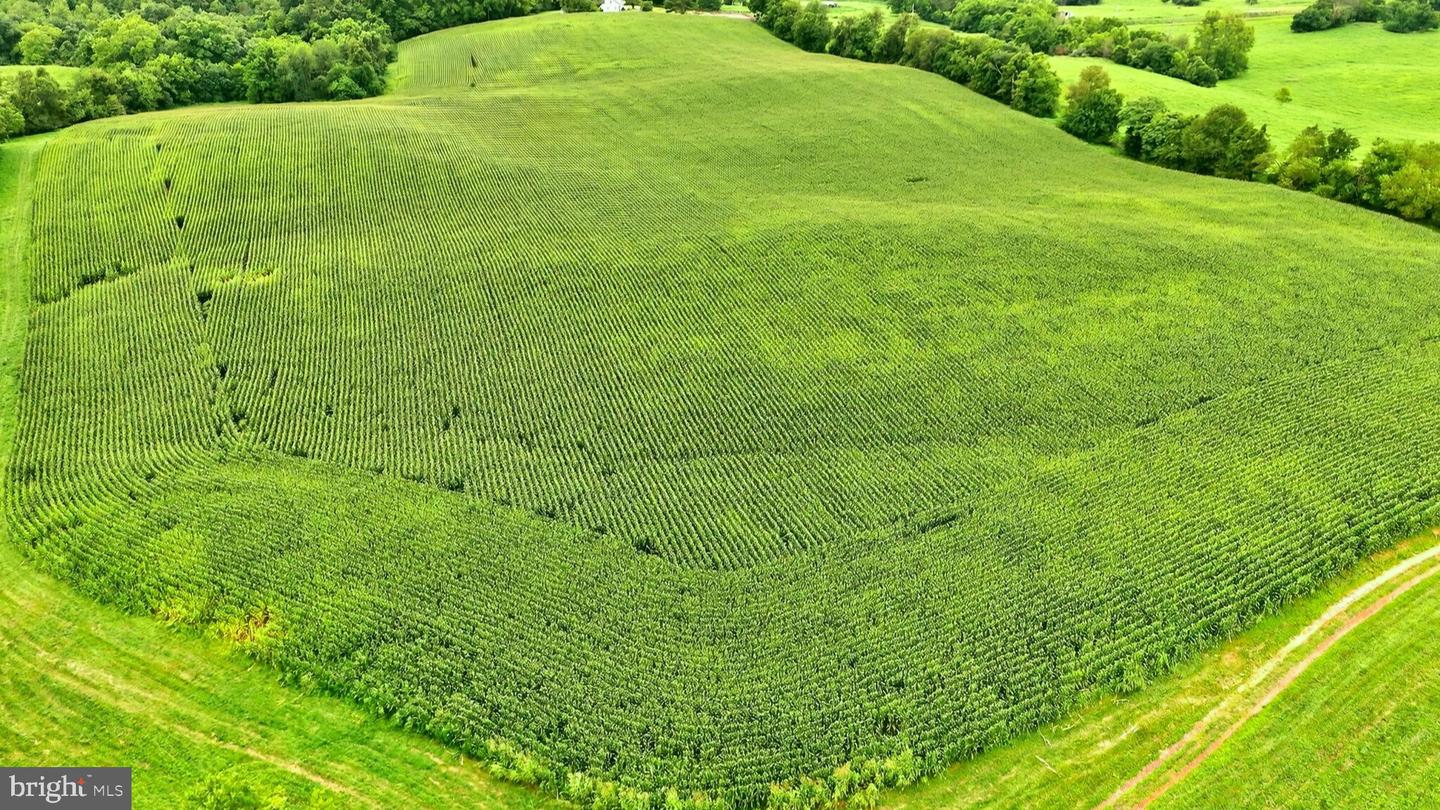 9534 SPRING HILL, RIXEYVILLE, Virginia 22737, 3 Bedrooms Bedrooms, ,2 BathroomsBathrooms,Farm,For Sale,9534 SPRING HILL,VACU2011274 MLS # VACU2011274 9534 SPRING HILL, RIXEYVILLE, Virginia 22737, 3 Bedrooms Bedrooms, ,2 BathroomsBathrooms,Farm,For Sale,9534 SPRING HILL,VACU2011274 MLS # VACU2011274