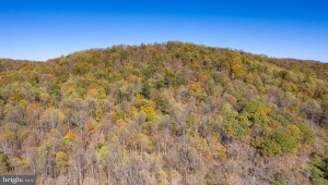 LOT 37 BLANDEMAR DR CHARLOTTESVILLE Virginia 22903