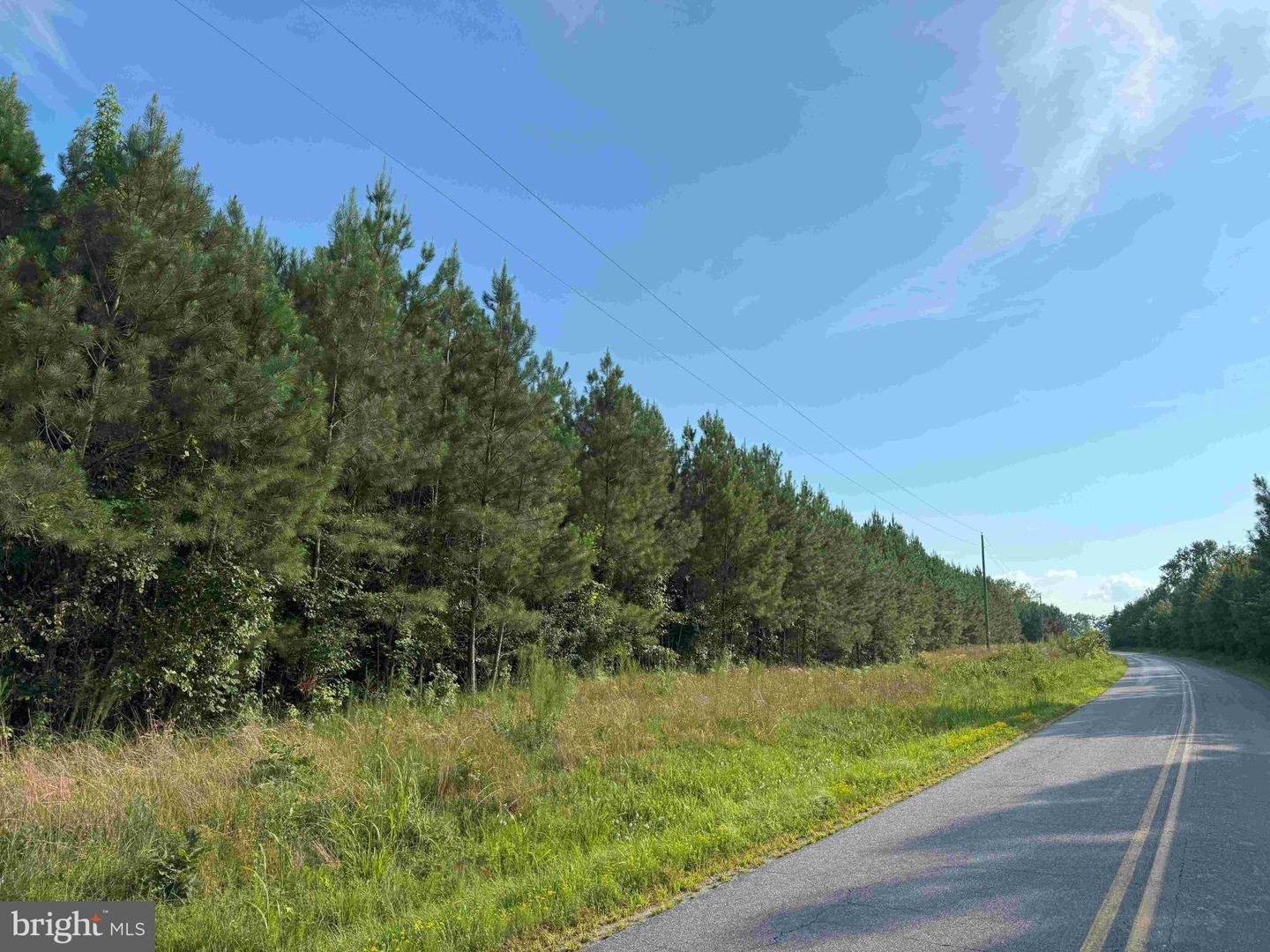 BLACK CREEK ROAD (TRACT: CHESAPEAKE SURRY GRIFFIN), FRANKLIN, Virginia 23851, ,Farm,For Sale,BLACK CREEK ROAD (TRACT: CHESAPEAKE SURRY GRIFFIN),VASU2000026 MLS # VASU2000026 BLACK CREEK ROAD (TRACT: CHESAPEAKE SURRY GRIFFIN), FRANKLIN, Virginia 23851, ,Farm,For Sale,BLACK CREEK ROAD (TRACT: CHESAPEAKE SURRY GRIFFIN),VASU2000026 MLS # VASU2000026
