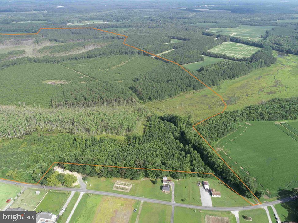 BLACK CREEK ROAD (TRACT: CHESAPEAKE SURRY GRIFFIN), FRANKLIN, Virginia 23851, ,Farm,For Sale,BLACK CREEK ROAD (TRACT: CHESAPEAKE SURRY GRIFFIN),VASU2000026 MLS # VASU2000026 BLACK CREEK ROAD (TRACT: CHESAPEAKE SURRY GRIFFIN), FRANKLIN, Virginia 23851, ,Farm,For Sale,BLACK CREEK ROAD (TRACT: CHESAPEAKE SURRY GRIFFIN),VASU2000026 MLS # VASU2000026