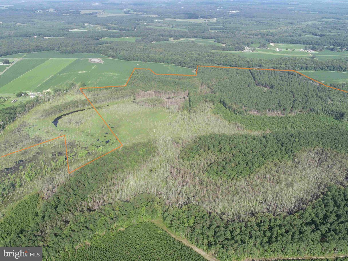 BLACK CREEK ROAD (TRACT: CHESAPEAKE SURRY GRIFFIN), FRANKLIN, Virginia 23851, ,Farm,For Sale,BLACK CREEK ROAD (TRACT: CHESAPEAKE SURRY GRIFFIN),VASU2000026 MLS # VASU2000026 BLACK CREEK ROAD (TRACT: CHESAPEAKE SURRY GRIFFIN), FRANKLIN, Virginia 23851, ,Farm,For Sale,BLACK CREEK ROAD (TRACT: CHESAPEAKE SURRY GRIFFIN),VASU2000026 MLS # VASU2000026