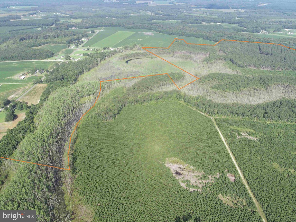 BLACK CREEK ROAD (TRACT: CHESAPEAKE SURRY GRIFFIN), FRANKLIN, Virginia 23851, ,Farm,For Sale,BLACK CREEK ROAD (TRACT: CHESAPEAKE SURRY GRIFFIN),VASU2000026 MLS # VASU2000026 BLACK CREEK ROAD (TRACT: CHESAPEAKE SURRY GRIFFIN), FRANKLIN, Virginia 23851, ,Farm,For Sale,BLACK CREEK ROAD (TRACT: CHESAPEAKE SURRY GRIFFIN),VASU2000026 MLS # VASU2000026