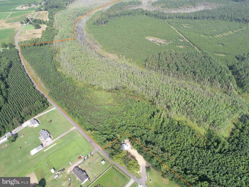 BLACK CREEK ROAD (TRACT: CHESAPEAKE SURRY GRIFFIN), FRANKLIN, Virginia 23851, ,Farm,For Sale,BLACK CREEK ROAD (TRACT: CHESAPEAKE SURRY GRIFFIN),VASU2000026 MLS # VASU2000026 BLACK CREEK ROAD (TRACT: CHESAPEAKE SURRY GRIFFIN), FRANKLIN, Virginia 23851, ,Farm,For Sale,BLACK CREEK ROAD (TRACT: CHESAPEAKE SURRY GRIFFIN),VASU2000026 MLS # VASU2000026