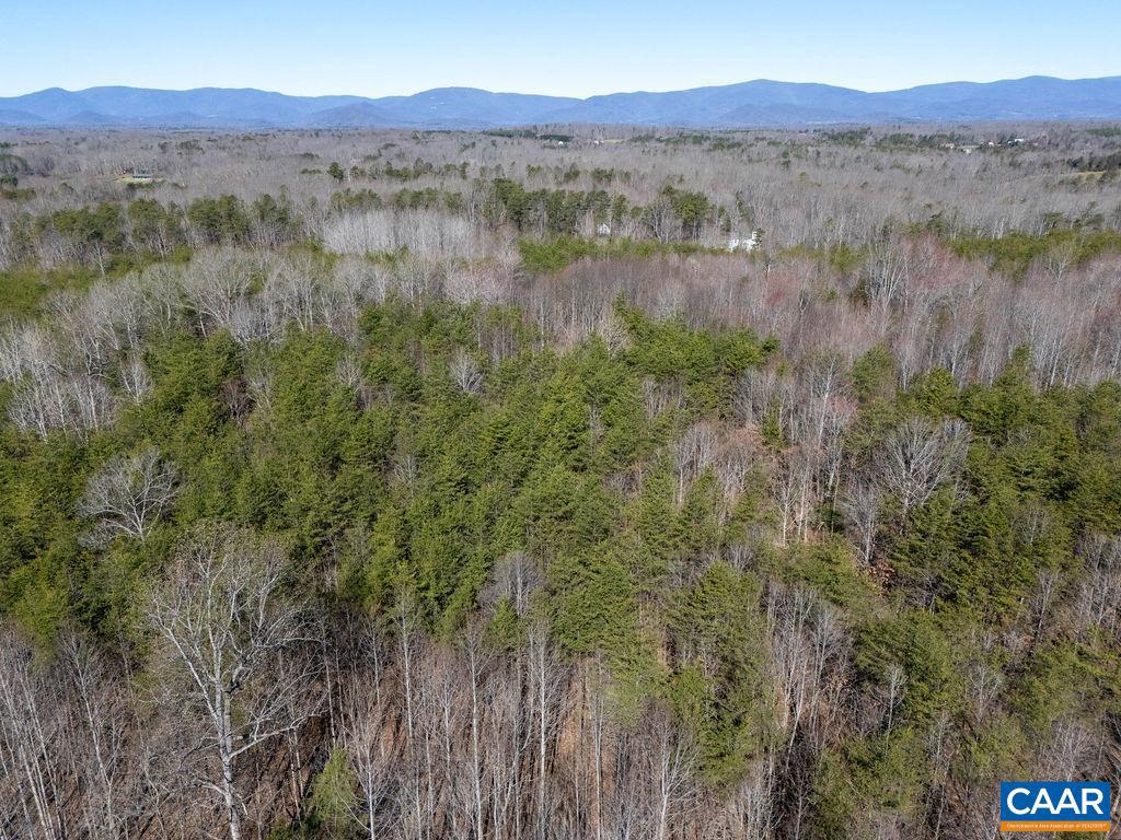0 FRAYS MILL RD, RUCKERSVILLE, Virginia 22968, ,Farm,For Sale,0 FRAYS MILL RD,667906 MLS # 667906 0 FRAYS MILL RD, RUCKERSVILLE, Virginia 22968, ,Farm,For Sale,0 FRAYS MILL RD,667906 MLS # 667906