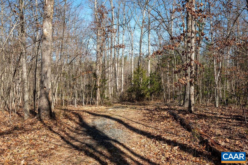 0 FRAYS MILL RD, RUCKERSVILLE, Virginia 22968, ,Farm,For Sale,0 FRAYS MILL RD,667906 MLS # 667906 0 FRAYS MILL RD, RUCKERSVILLE, Virginia 22968, ,Farm,For Sale,0 FRAYS MILL RD,667906 MLS # 667906