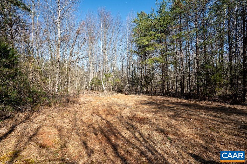 0 FRAYS MILL RD, RUCKERSVILLE, Virginia 22968, ,Farm,For Sale,0 FRAYS MILL RD,667906 MLS # 667906 0 FRAYS MILL RD, RUCKERSVILLE, Virginia 22968, ,Farm,For Sale,0 FRAYS MILL RD,667906 MLS # 667906
