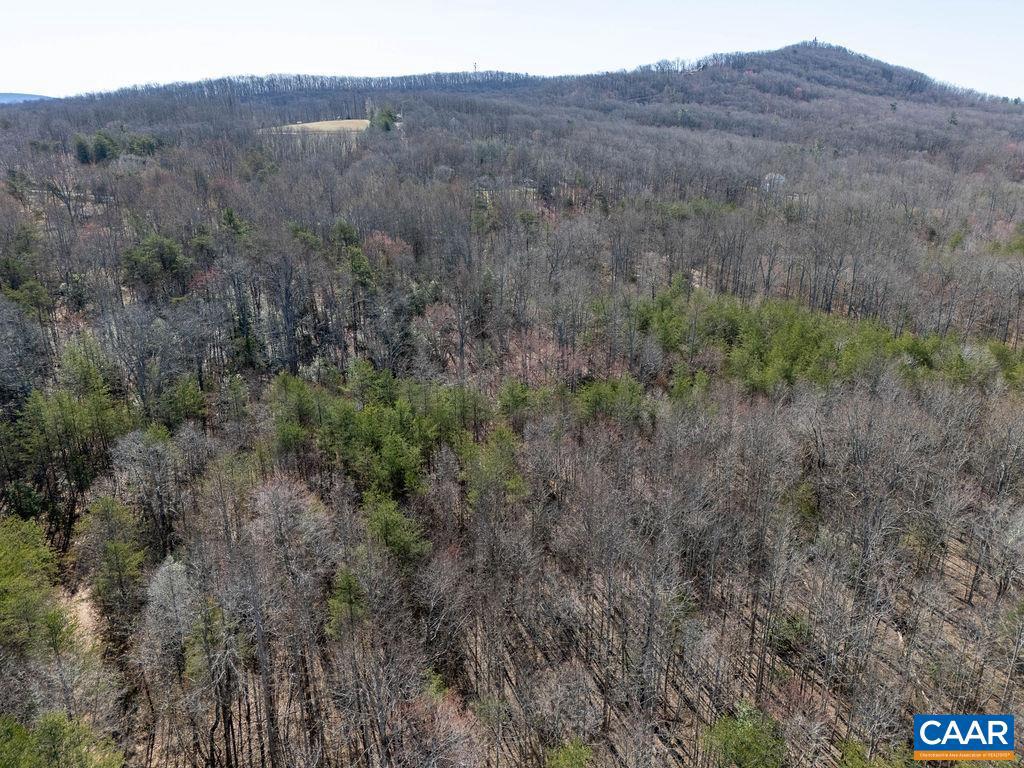 0 FRAYS MILL RD, RUCKERSVILLE, Virginia 22968, ,Farm,For Sale,0 FRAYS MILL RD,667906 MLS # 667906 0 FRAYS MILL RD, RUCKERSVILLE, Virginia 22968, ,Farm,For Sale,0 FRAYS MILL RD,667906 MLS # 667906